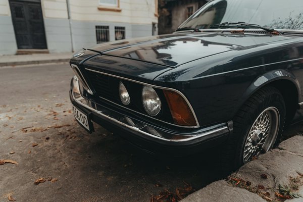 How do you choose the right pet for your UK home?